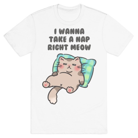 I Wanna Take A Nap Right Meow T-Shirt