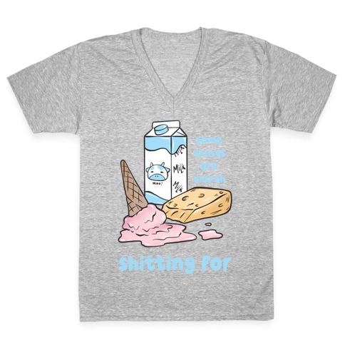 Some Things Are Worth Shitting For V-Neck Tee Shirt