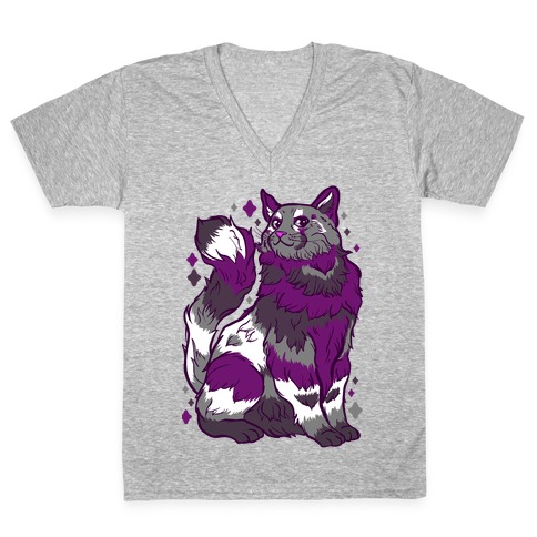 Asexual Pride Cat V-Neck Tee Shirt