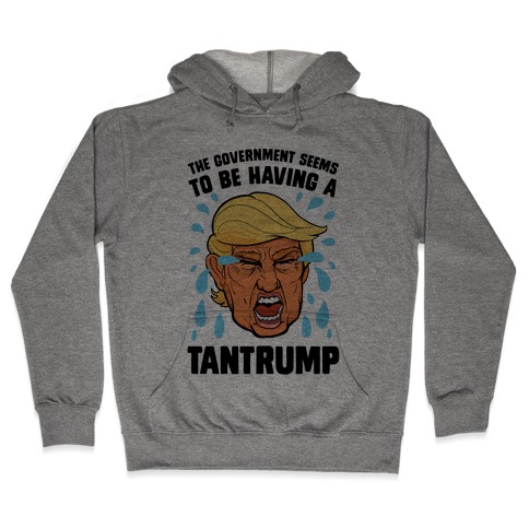The Government Seems To Be Having A Tantrump Hooded Sweatshirt