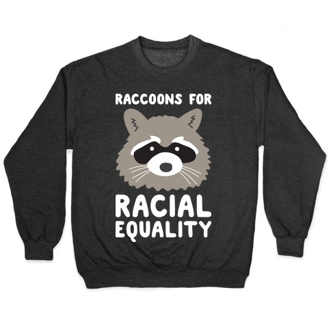 Raccoons For Racial Equality Pullover