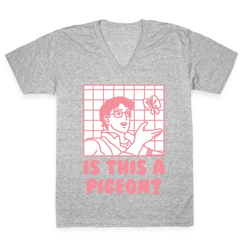 Is This A Pigeon? V-Neck Tee Shirt