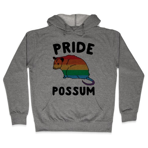 Pride Possum Hooded Sweatshirt