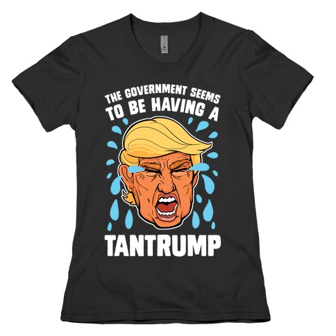The Government Seems To Be Having A Tantrump Womens T-Shirt