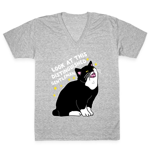Look At This Distinguished Gentleman Cat V-Neck Tee Shirt