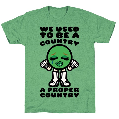 We Used To Be A Country A Proper Country T-Shirt