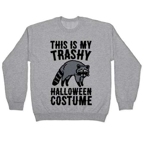 This Is My Trashy Halloween Costume Raccoon Pullover