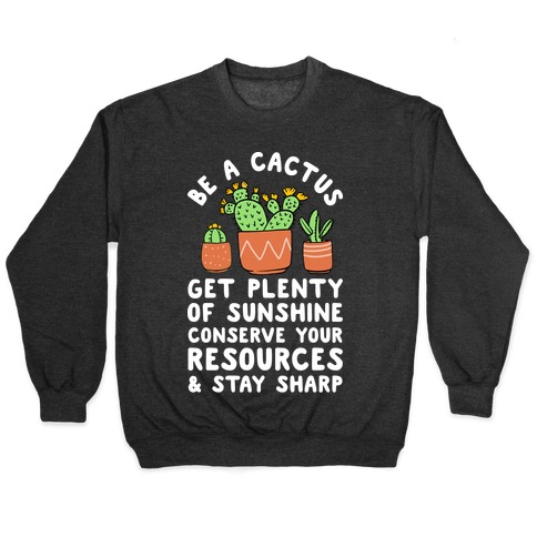 Be a Cactus Pullover