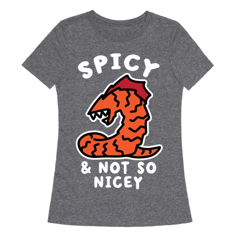 Spicy & Not So Nicey Womens T-Shirt