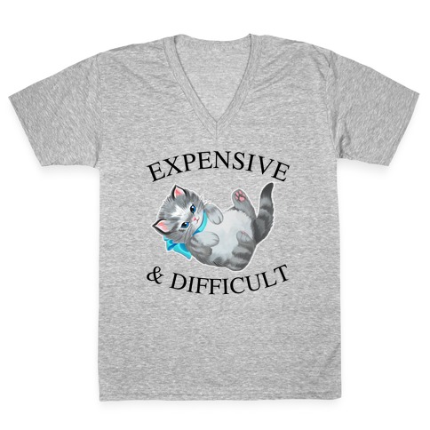 Expensive & Difficult  V-Neck Tee Shirt