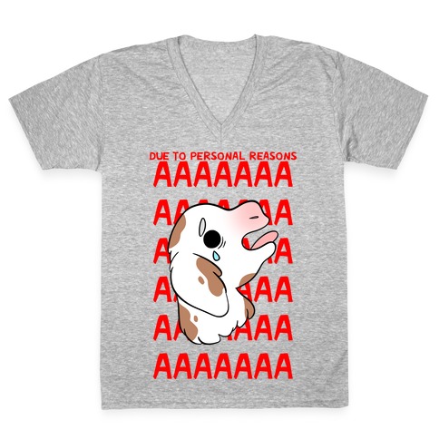 Due To Personal Reasons AAAA Baby Goat V-Neck Tee Shirt