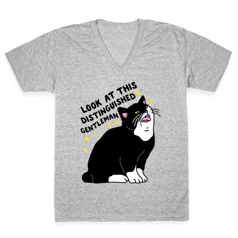Look At This Distinguished Gentleman Cat V-Neck Tee Shirt