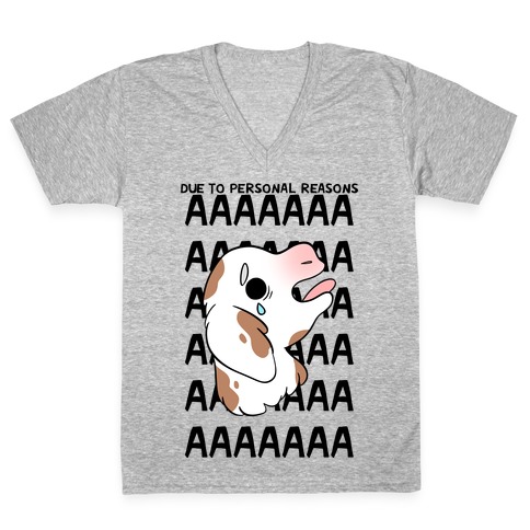 Due To Personal Reasons AAAA Baby Goat V-Neck Tee Shirt