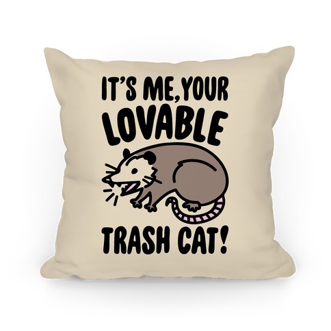 It's Me Your Lovable Trash Cat Pillow