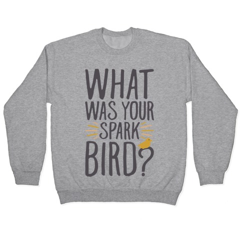 What Was Your Spark Bird Pullover