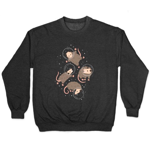 Opossums In Space Pullover