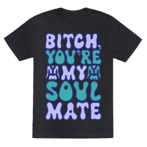 Bitch You're My Soulmate Parody T-Shirt