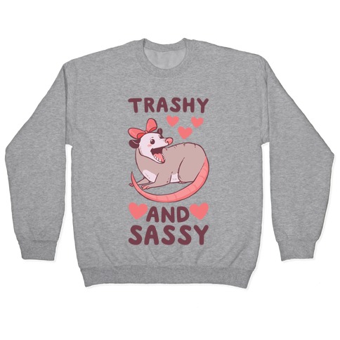 Trashy and Sassy Possum  Pullover