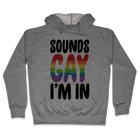 Sounds Gay I'm In Hooded Sweatshirt