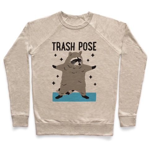 Trash Pose Raccoon Pullover