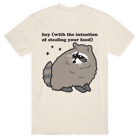 Hey (with the intention of stealing your food) Raccoon T-Shirt